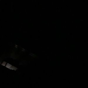 Meet your Posher, Joey